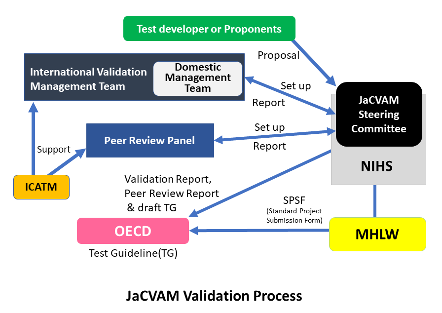 JaCVAM Validation Process